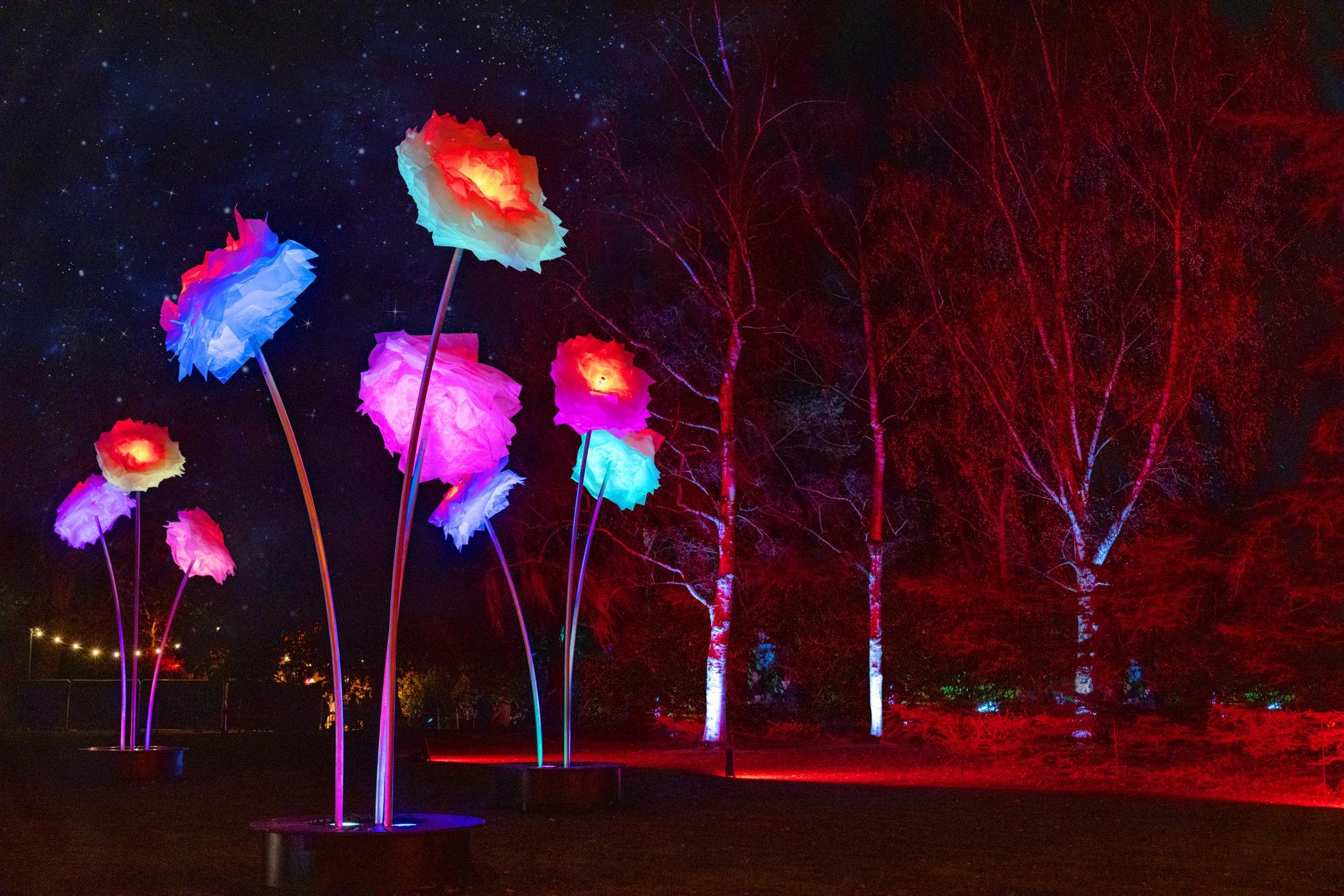 Strolling Through Illuminated Gardens and Street Art Trails